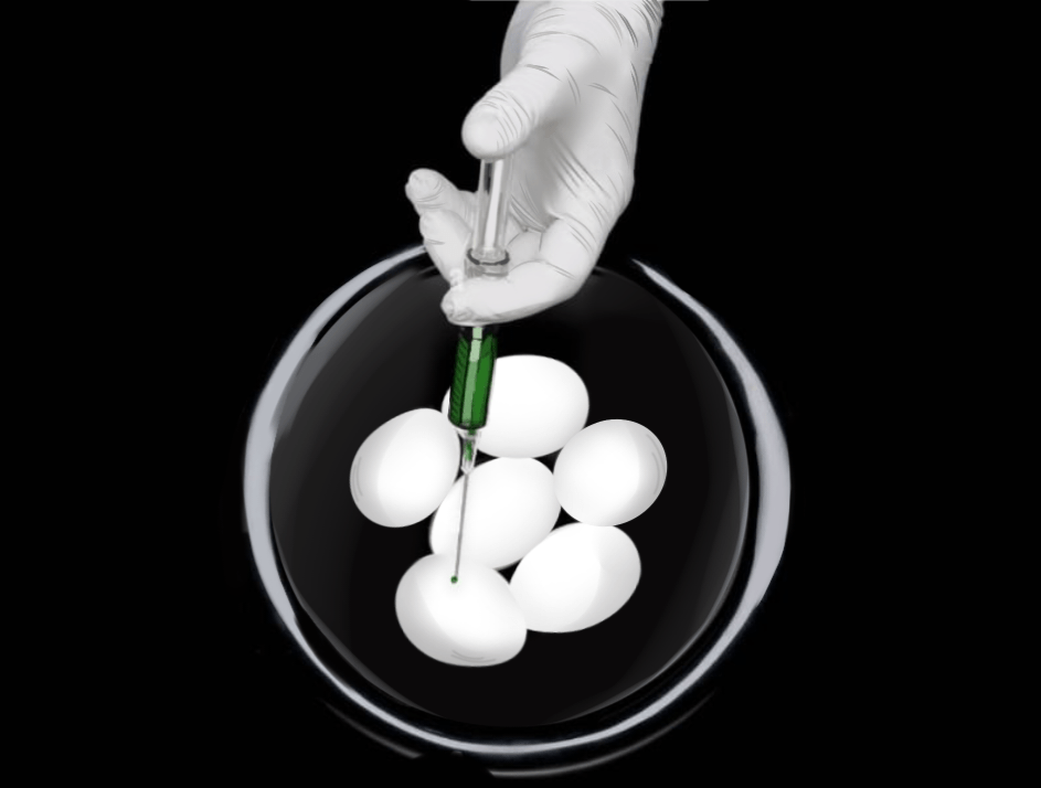 The Substance – Il film in rosa più cupo di&nbsp;sempre